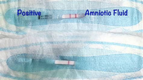 amniotic fluid sticky|How To Recognize Leaking Amniotic Fluid And What。